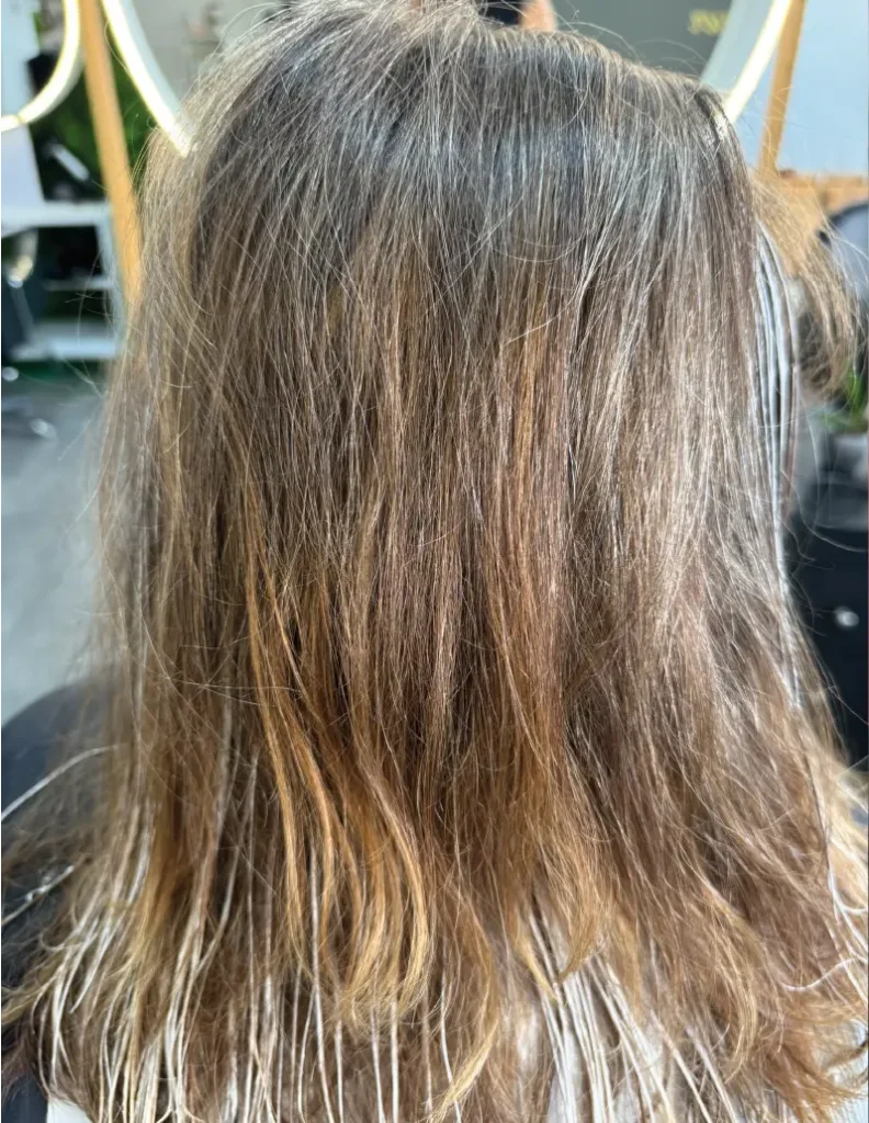 Avant coloration Végétale´et mèches