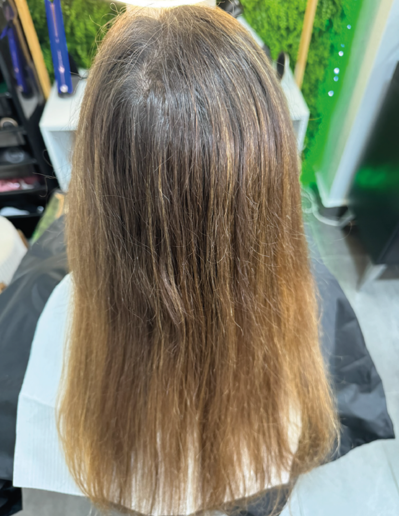 Avant coloration Végétale